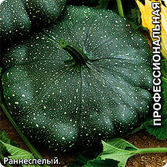 Патиссон Гоша, 1 г Профессиональная серия Патиссон Гоша, 1 г Профессиональная серия
