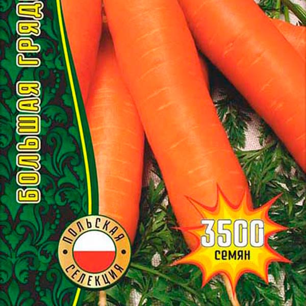 Морковь Польская Сластёна Ранняя, 3500 шт. Большая Грядка