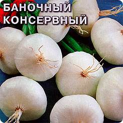Лук репчатый Баночный консервный, 0,5 г Лук репчатый Баночный консервный, 0,5 г