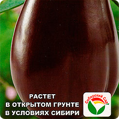 Баклажан Балу, 20 шт. Баклажан Балу, 20 шт.