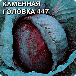 Капуста краснокочанная Каменная головка 447, 0,5 г Капуста краснокочанная Каменная головка 447, 0,5 г