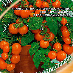 Томат Горшечный Оранжевый, 0,1 г Семена от автора Томат Горшечный Оранжевый, 0,1 г Семена от автора