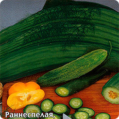 Дыня змеевидная (армянский огурец) Богатырь Зеленый, 0,5 г Дыня змеевидная (армянский огурец) Богатырь Зеленый, 0,5 г