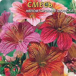 Сальпиглоссис Супербиссима, Смесь, 0,02 г Сальпиглоссис Супербиссима, Смесь, 0,02 г