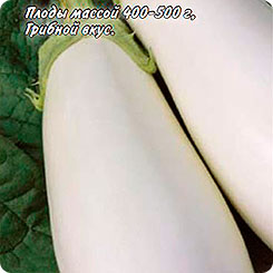 Баклажан Бибо F1, 10 шт. Seminis Баклажан Бибо F1, 10 шт. Seminis