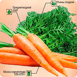 Морковь Медовая, 4 г Двойная фасовка Морковь Медовая, 4 г Двойная фасовка