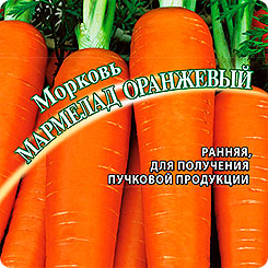 Морковь Мармелад Оранжевый, 2 г Семена от автора Морковь Мармелад Оранжевый, 2 г Семена от автора