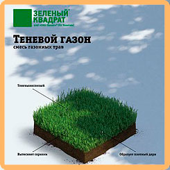 Газон Зеленый квадрат ® Теневой, 1 кг