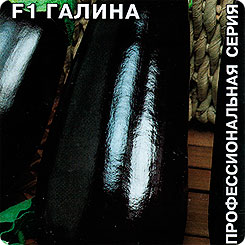 Баклажан Галина F1, 0,1 г Профессиональная серия Баклажан Галина F1, 0,1 г Профессиональная серия