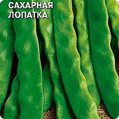 Фасоль овощная Сахарная лопатка, 5 г Фасоль овощная Сахарная лопатка, 5 г
