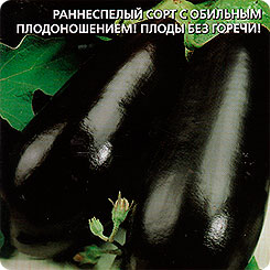 Баклажан Суклейский, 20 шт. Баклажан Суклейский, 20 шт.