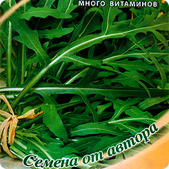 Двурядник тонколистный (рукола) Пасьянс, 0,5 г Семена от автора Двурядник тонколистный (рукола) Пасьянс, 0,5 г Семена от автора