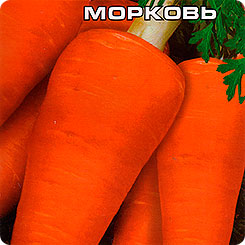 Морковь Шанс, 2 г Морковь Шанс, 2 г