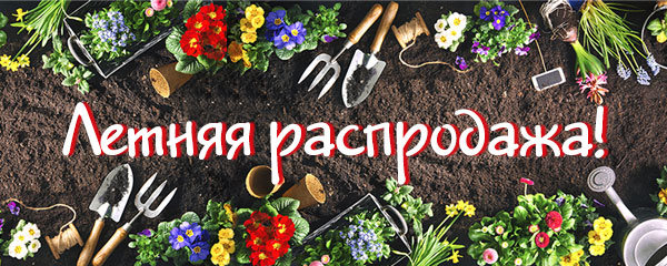Летний SALE! Более 1000 хитов со скидками! Летний SALE! Более 1000 хитов со скидками!