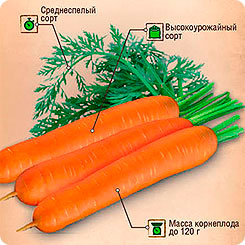 Морковь Нантская 4, 4 г Двойная фасовка Морковь Нантская 4, 4 г Двойная фасовка
