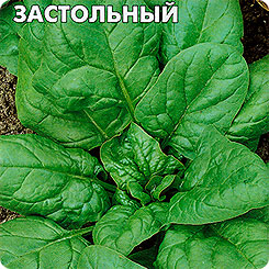 Шпинат Застольный, 2 г Шпинат Застольный, 2 г