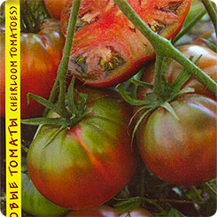 Томат Черноморец, 10 шт. Реликтовые томаты