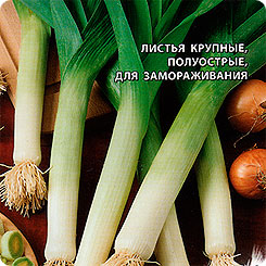 Лук порей Летний бриз, 1 г Заморозь! Лук порей Летний бриз, 1 г Заморозь!