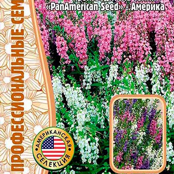 Ангелония Узколистная Serenita mix F1, 3 драже Амереканская селекция Прфессионалные семена
