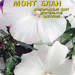 Лаватера Монт Блан, 0,3 г Лаватера Монт Блан, 0,3 г