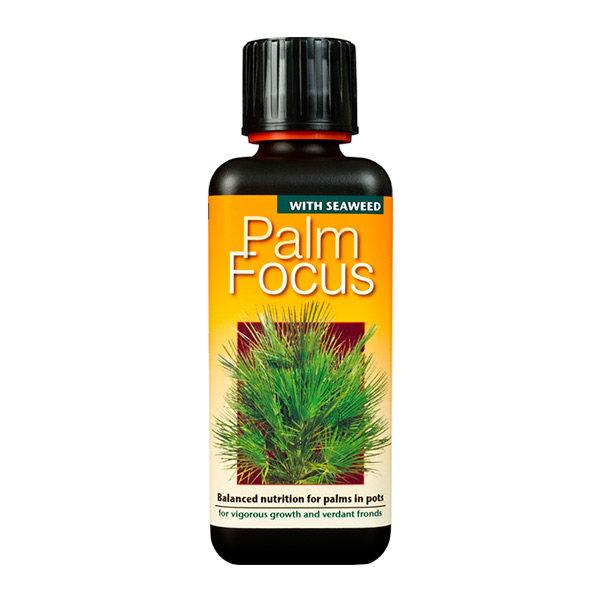 Удобрение для пальм в горшках Palm Focus, 100 мл Удобрение для пальм в горшках Palm Focus, 100 мл